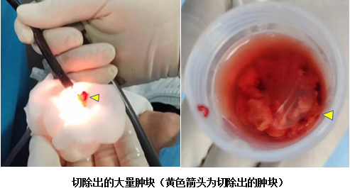 微信图片_20231129154613.png