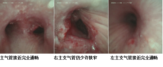 微信图片_20231129154609.png