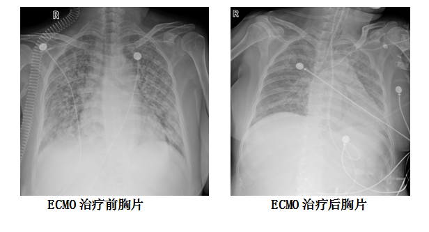 微信图片_20241203112058.png